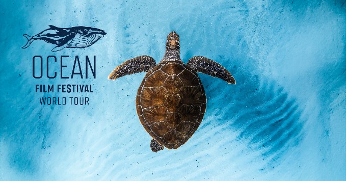 Ocean Film Festival